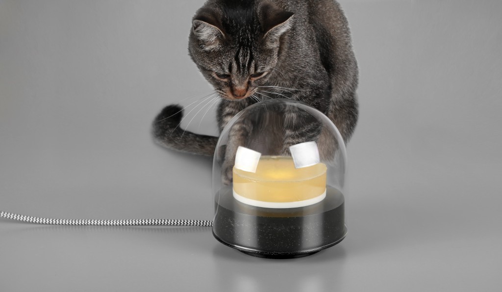 maison_objet_rising_talents